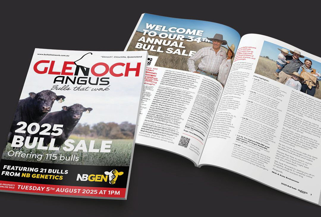 Download Digital 2025 Bull Sale Catalogue - Glenoch Angus