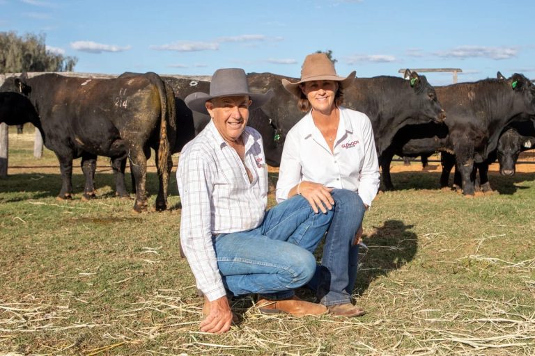 Boshammers’ bullish business success